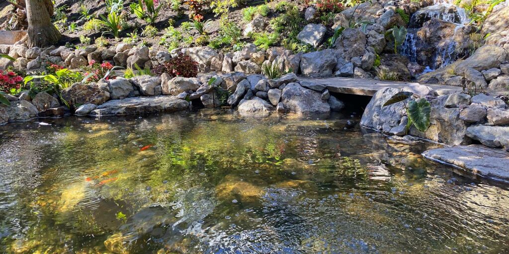 Natural Swimming Pond