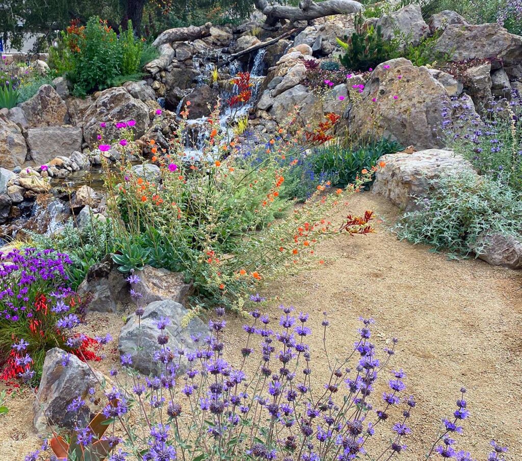 Lush landscape installation Los Angeles