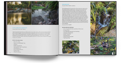 featured-aquascape-pond-artist